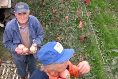 Due operai raccolgono le mele nell'Az.Agr.Paolo Franzoni